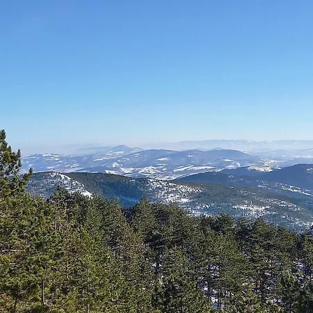 Vidik Sofija アパート *