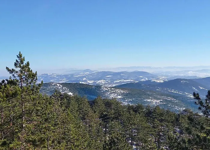 Vidik Sofija Apartman *