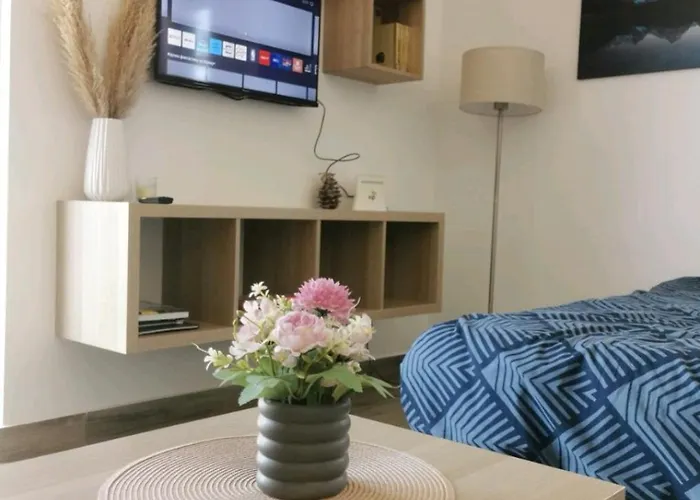 Apartman Vidik Sofija